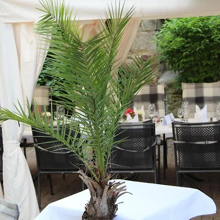 Ochsen & Restaurant / Basel بينزن