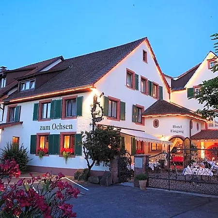 Ochsen & Restaurant / Basel Hotel 3*