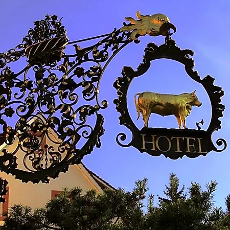 Ochsen & Restaurant / Basel Hotel 3*