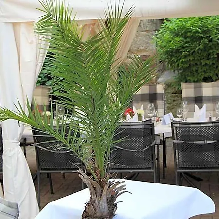 Hotel Ochsen & Restaurant / Basel