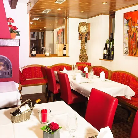 فندق Ochsen & Restaurant / Basel